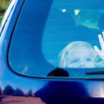1 Child Every 9 Days in the U.S. is Dying in A Hot Car… Why?