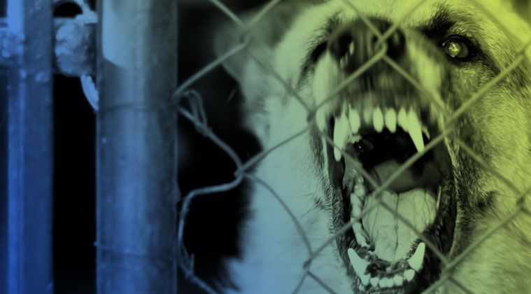 Dog bite lawyer nassau county