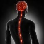 What Are the Different Types of Spinal Cord Injuries?