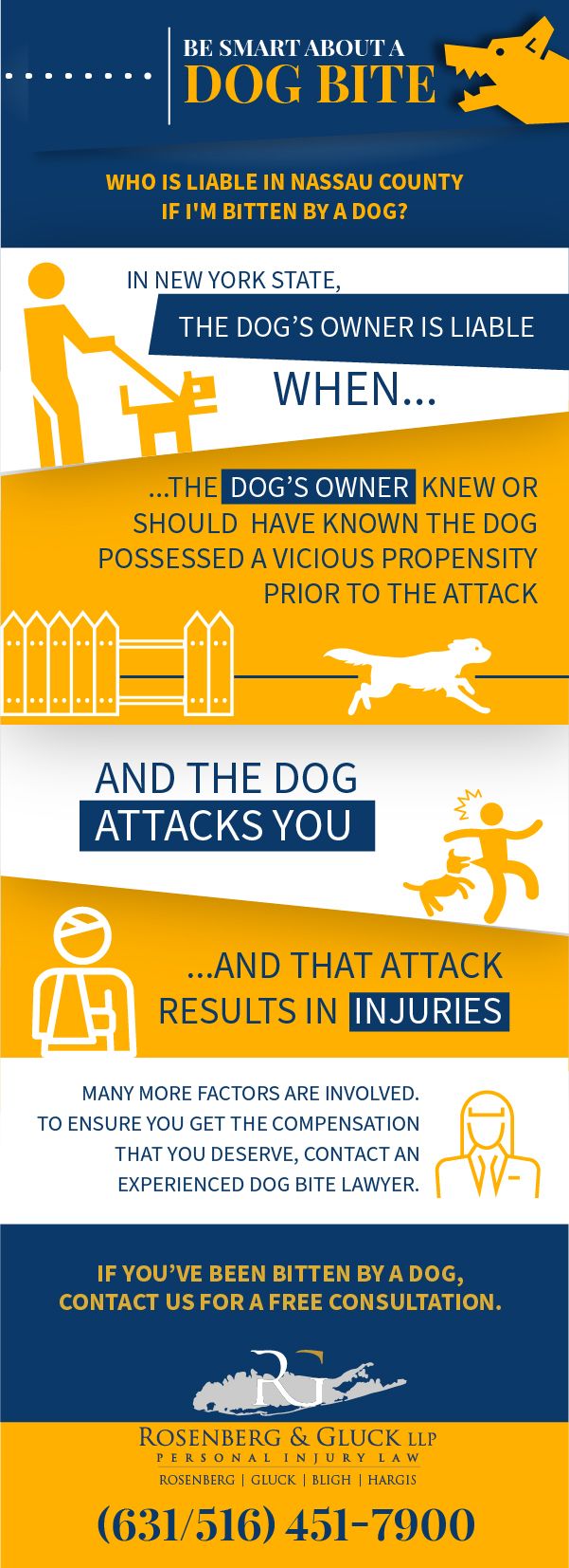 Experience Lawyer for Dog Bite Injury