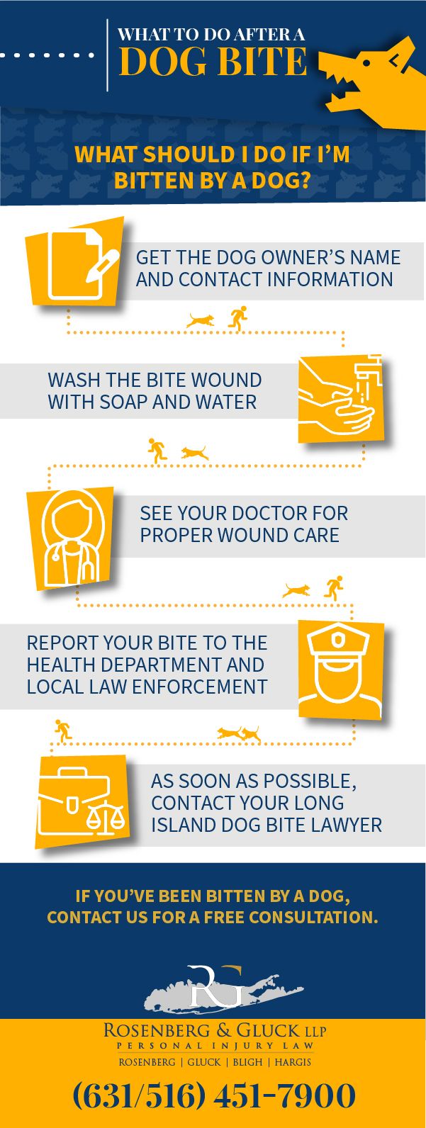 What to Do After a Dog Bite Infographic