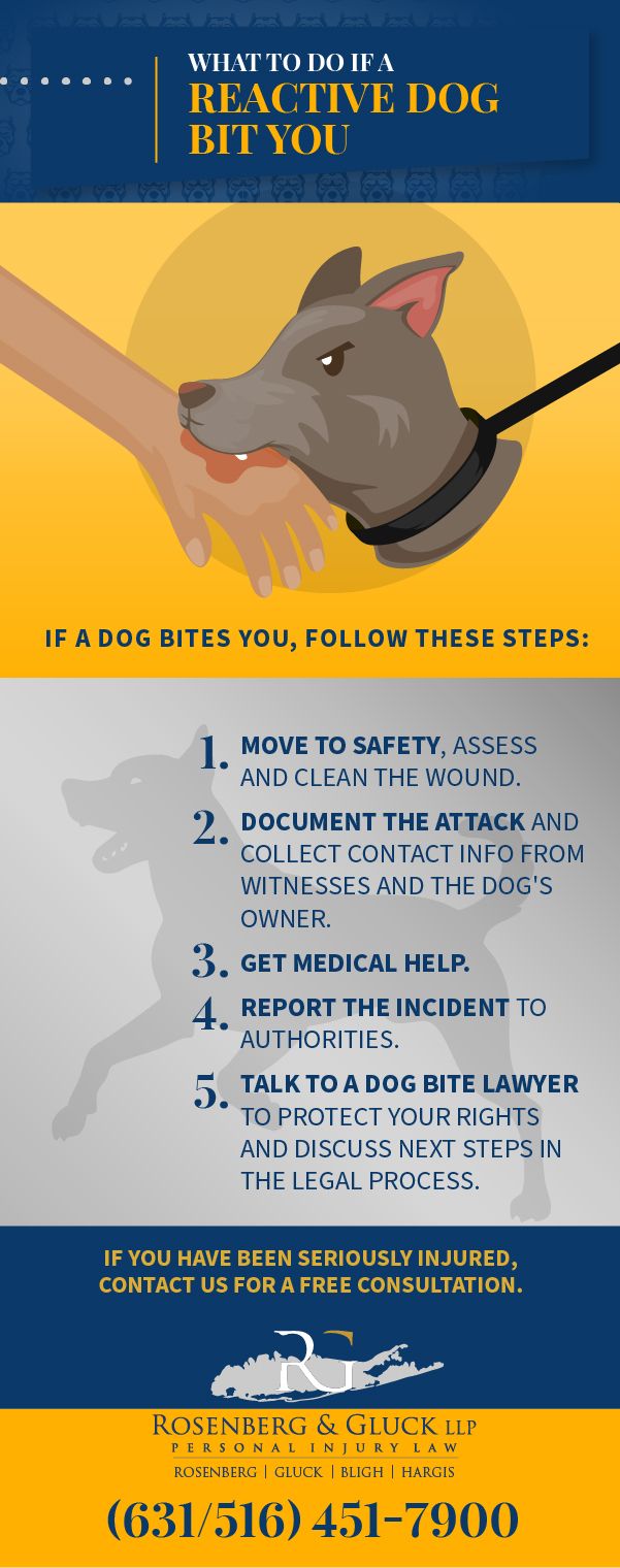 What To Do If A Reactive Dog Bit You