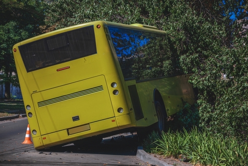 Yellow bus crashed into a bush on the side of the road, with an orange traffic cone nearby.